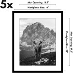 Americanflat 18x22 Picture Frame with Polished Plexiglass - Set of 5 - Use as 14x18 Frame with Mat or Display 18x22 Photo Without Mat - Galleria Collection - Picture Frames for Wall Display - Black