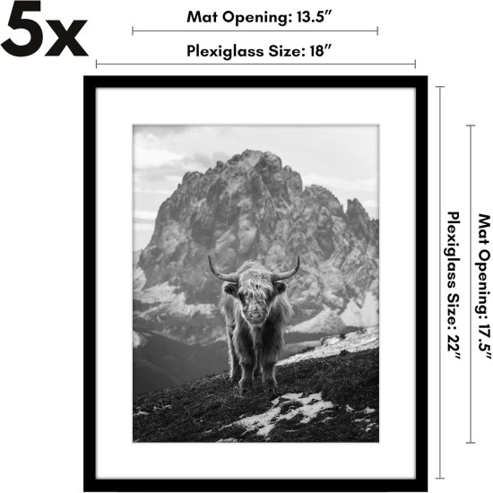 Americanflat 18x22 Picture Frame with Polished Plexiglass - Set of 5 - Use as 14x18 Frame with Mat or Display 18x22 Photo Without Mat - Galleria Collection - Picture Frames for Wall Display - Black