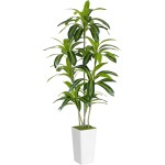 Artificial Dracaena Tree 6ft Tall - Green Silk Realistic Fake Plants for Office Home Living Room Bedroom Decor Indoor Outdoor with Pot Large House Faux Floor Plants