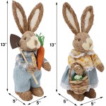 DR.DUDU Set of 2 Easter Decorations 13" Bunny Figurines Tabletop Spring Decor, Rustic Straw Bunny Couple with Carrot, Sisal Rabbit Statues Ornaments for Table Home Office Kitchen Farmhouse